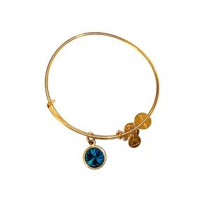 Alex and Ani December Birthstone Bracelet